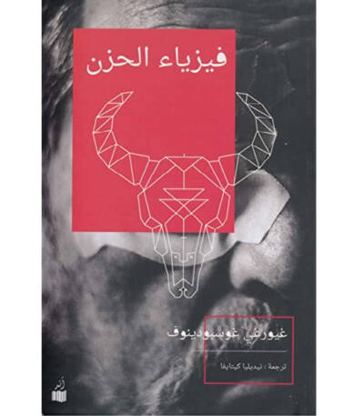 فيزياء الحزن