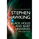 black holes and baby universes