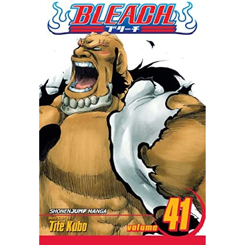 Bleach Vol 41 1