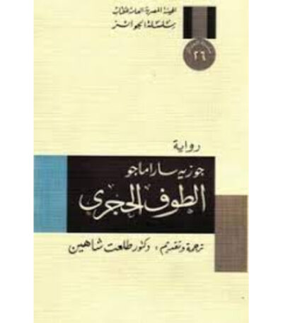 الطوف الحجري