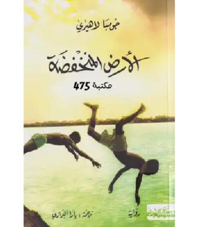 الأرض المنخفضة