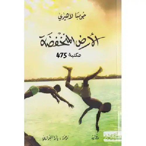 الأرض المنخفضة