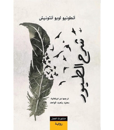شرح الطيور