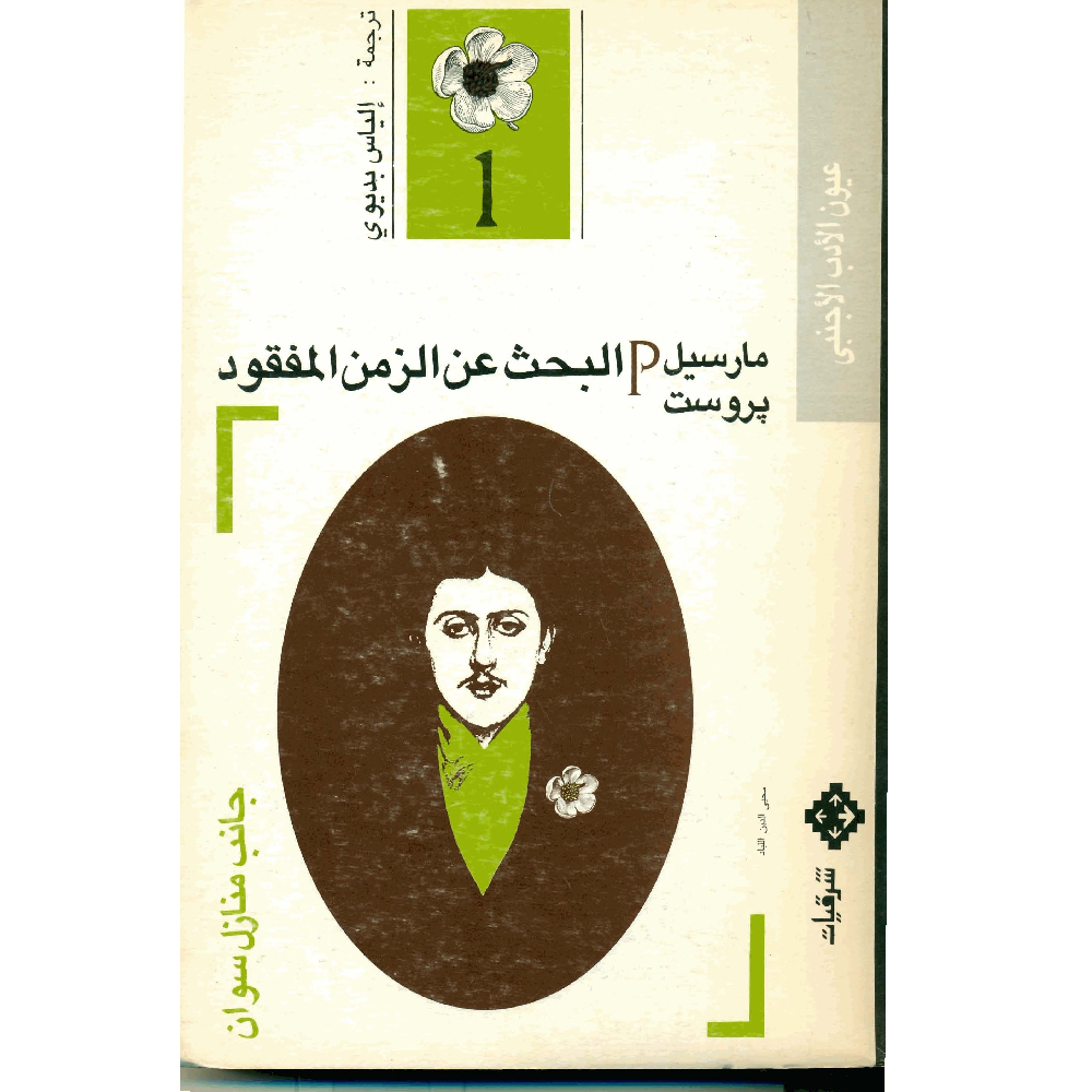 جانب منازل سوان جانب منازل سوان