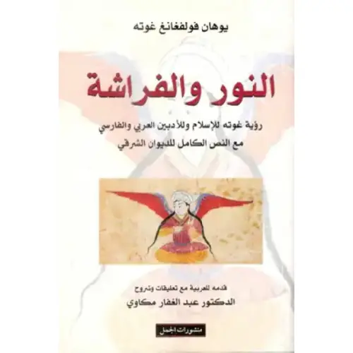 النور والفراشة