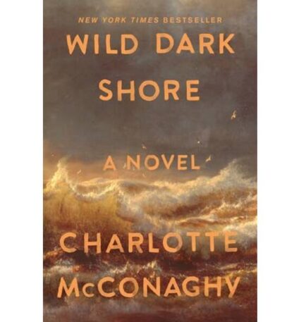 Wild Dark Shore